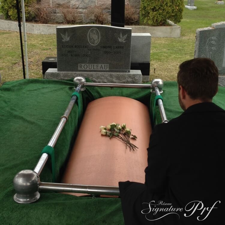 Bannière section Service professionnels