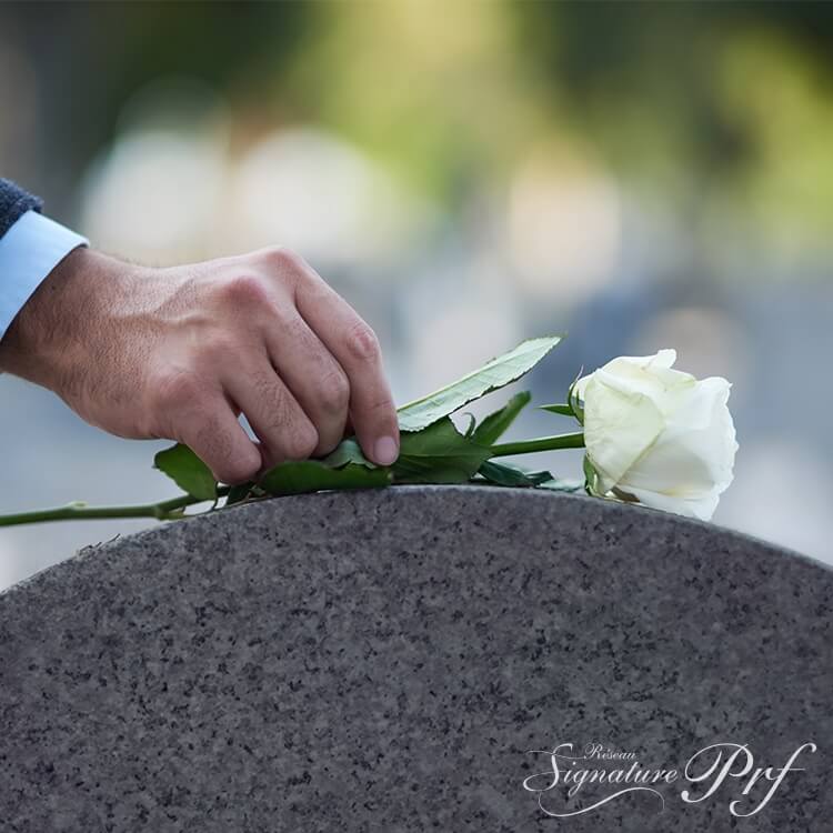 Bannière section Notre signature